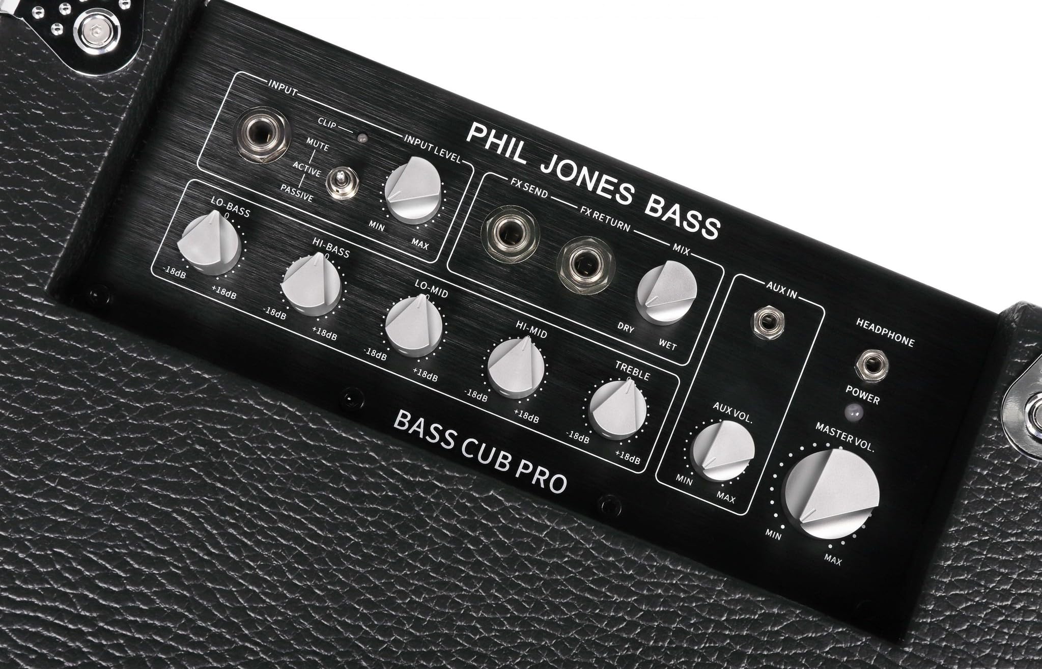 Amazon.com: Phil Jones Bass BG-120 Bass Cub Pro 2 x 5-inch 120